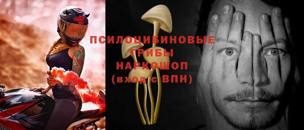 тгк Снежинск