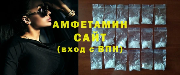 шишки Слюдянка