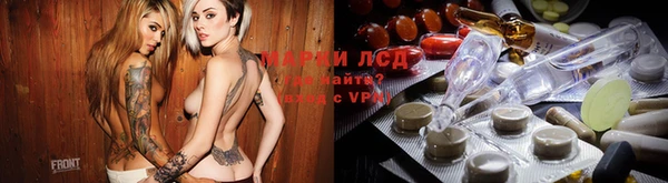 шишки Слюдянка