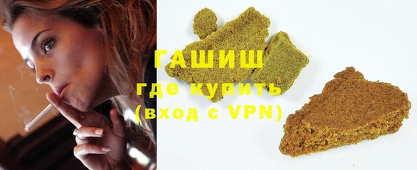 шишки Слюдянка