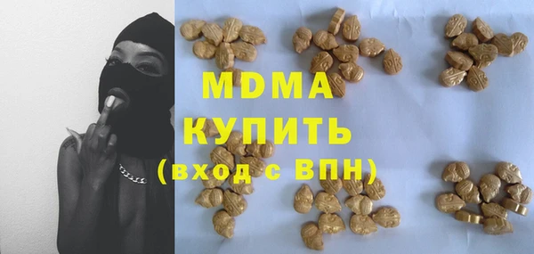 шишки Слюдянка