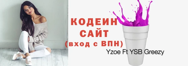 тгк Снежинск