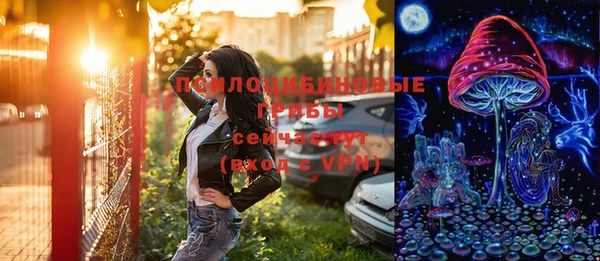 шишки Слюдянка