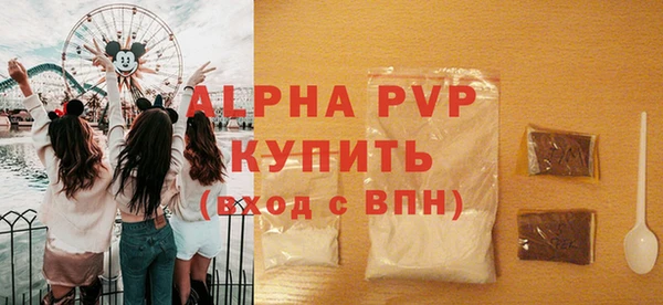 шишки Слюдянка