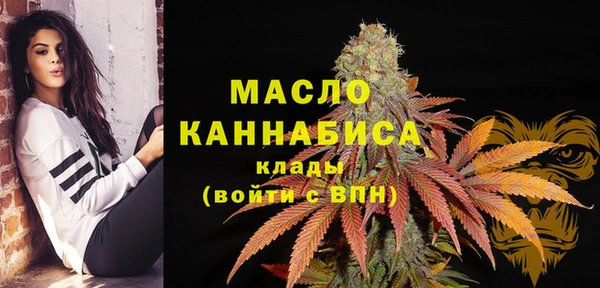шишки Слюдянка
