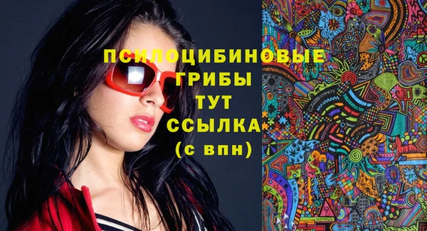 тгк Снежинск