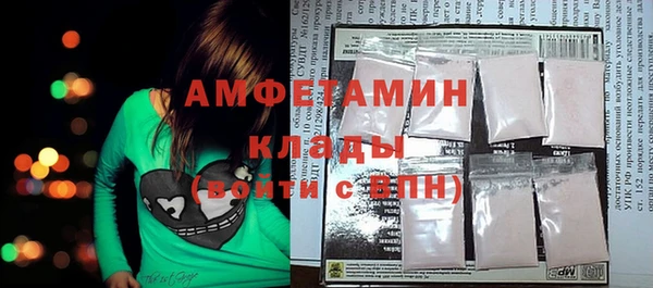 шишки Слюдянка