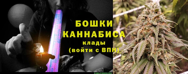 тгк Снежинск