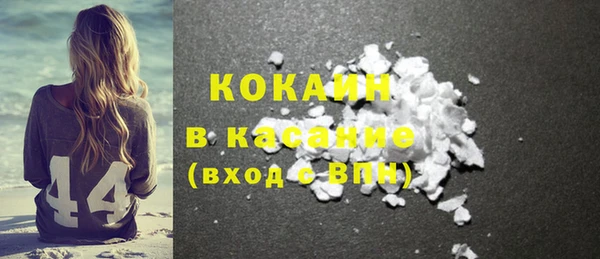 шишки Слюдянка