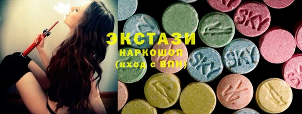 шишки Слюдянка