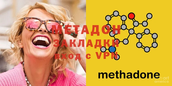 шишки Слюдянка