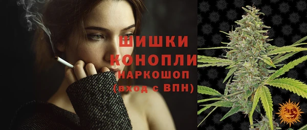 шишки Слюдянка