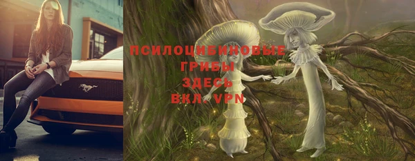альфа пвп Снежногорск
