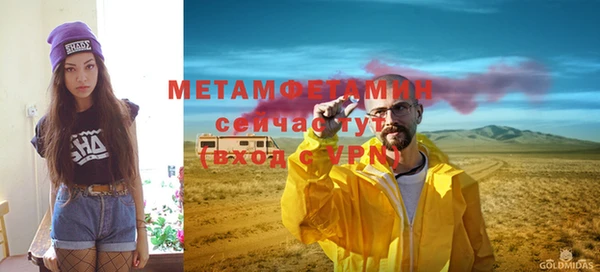 шишки Слюдянка