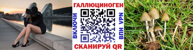 Псилоцибиновые грибы Magic Shrooms  Купить где  Советский 